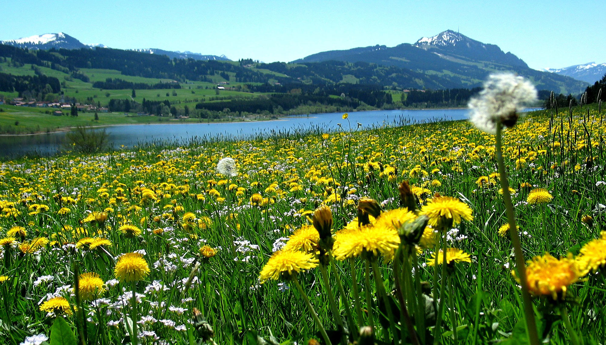 Urlaub im Allgäu am Rottachsee in Bayern